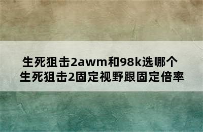 生死狙击2awm和98k选哪个 生死狙击2固定视野跟固定倍率